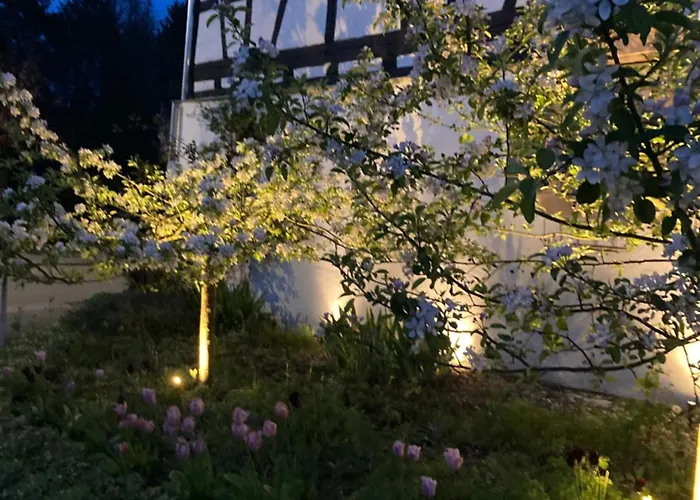 Bed & Breakfast En Passant